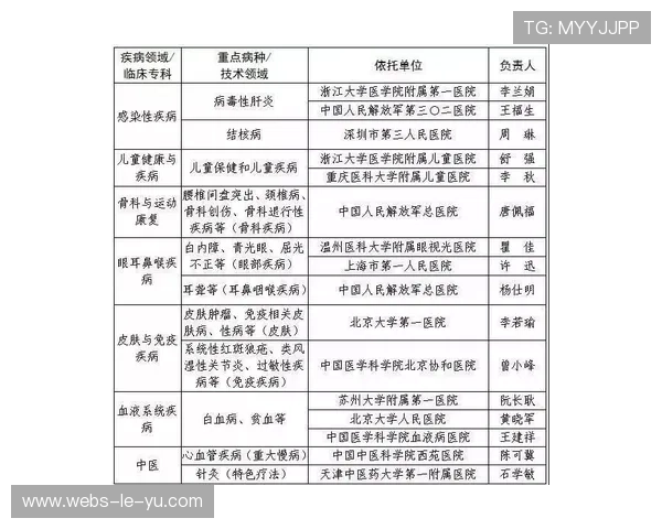 法甲脑震荡协议：头部损伤处理新标准